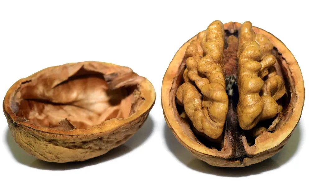 研究证实：吃核桃，全身炎症、癌症风险都降低！但这几点要注意！