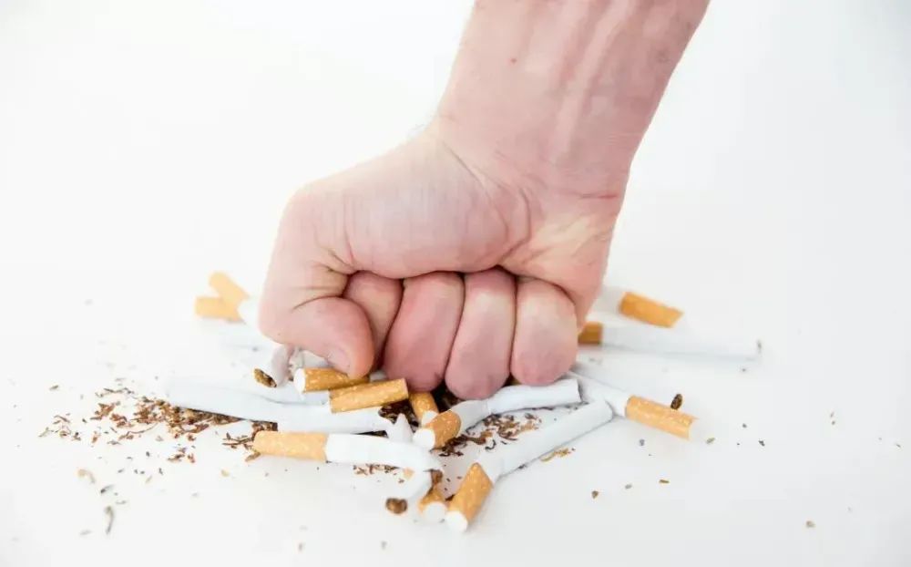 吸烟的危害比你想象的更大！一定要让孩子对第一支烟说“不”！