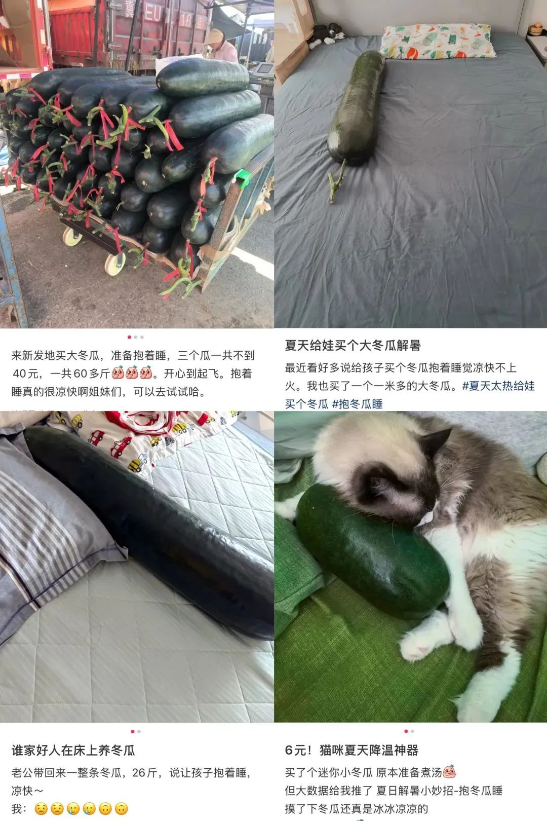 “抱冬瓜睡觉”突然走红，医生提醒用冬瓜助眠需要注意！