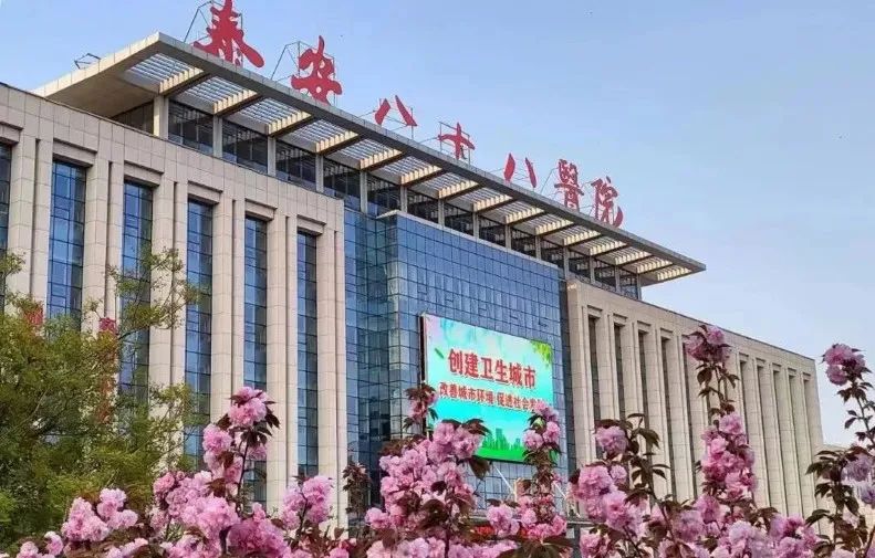 泰安八十八医院：以患者为中心，打造区域医疗服务标杆