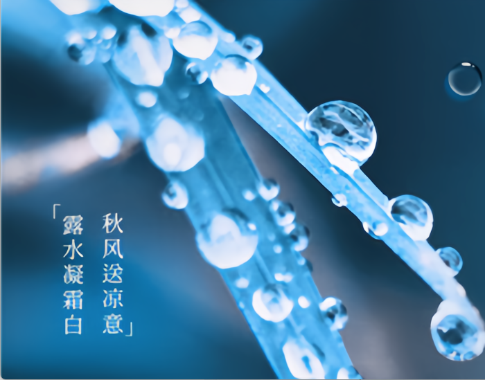 袅袅凉风起，寒露养生记：这份接地气的养生指南请收好