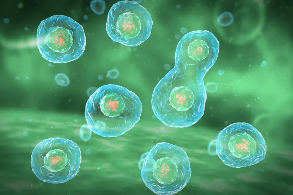 男人30+，约每50个精子中就有1个携带致病突变？高龄男性生育风险真的被低估了……
