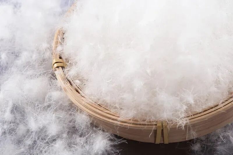 羽绒服千万别选这两种，穿得越久健康风险越大！