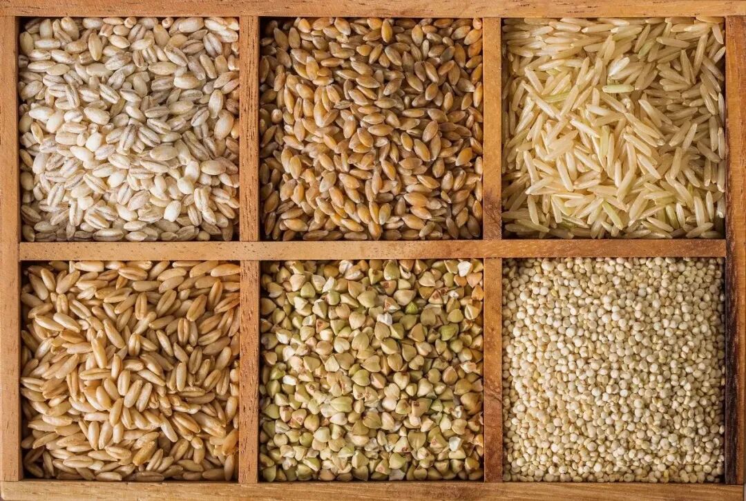 米饭放凉吃更不容易升血糖和长胖？秘密藏在“抗性淀粉”里！