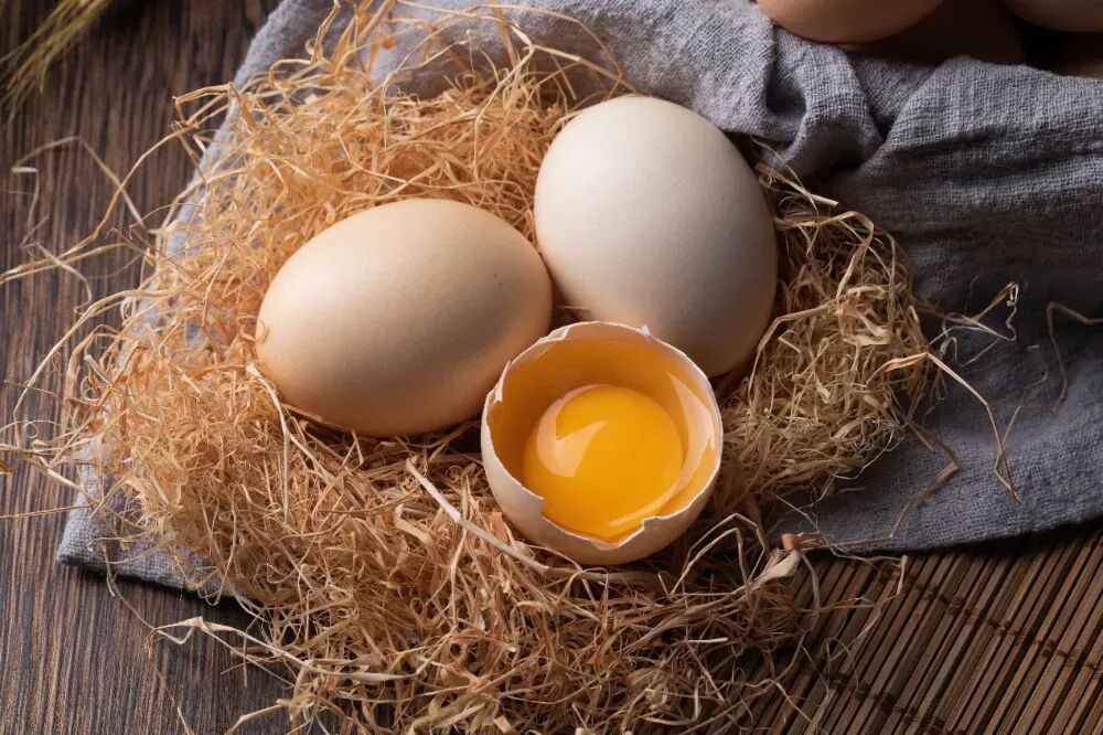 颠覆认知！哈佛 12 万人研究实锤：每天 1-2 个鸡蛋不升胆固醇，反而护血管