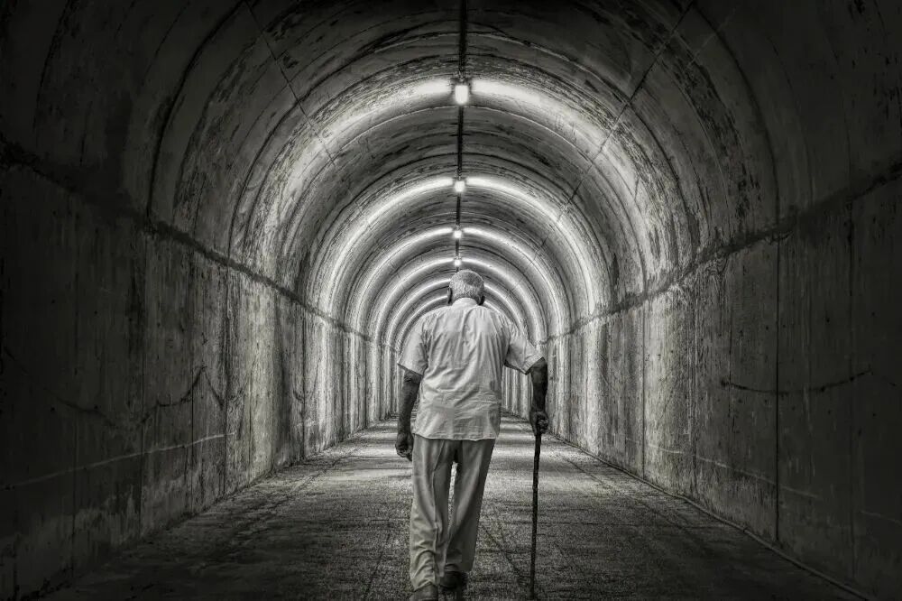 最新研究：人类寿命长短超50%由基因决定！健康生活习惯还有意义吗？