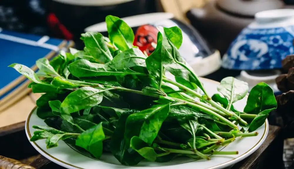 “春吃芽，赛过肉！” 这6种春芽疏肝气、养脾胃…… 错过又要等一年