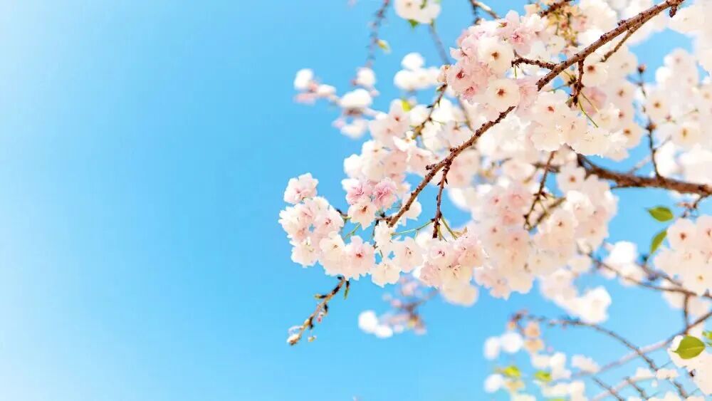 春分至 暖春临  养生防病干货来了！