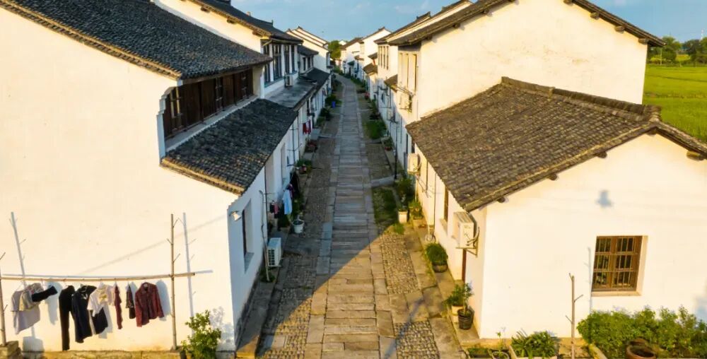 你见过旱厕吗？厕所里的健康风险，比你想象中更隐蔽 | 健康素养66条