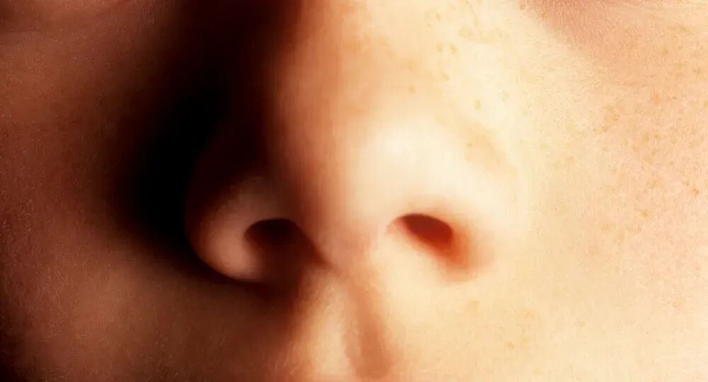 爱挖鼻孔的人更容易老年痴呆？从爱鼻日开始，改掉这些坏习惯！