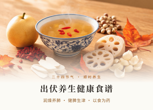 出伏养生食谱